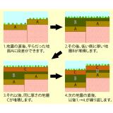 繰り返し起こる断層活動